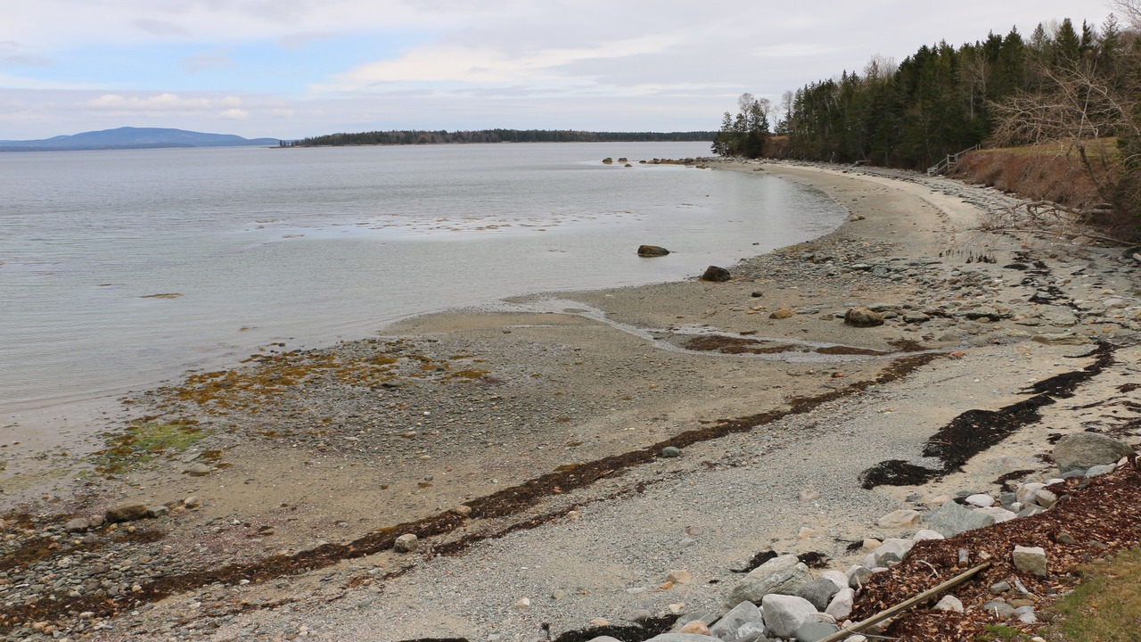 Photo of Others in North Brooklin