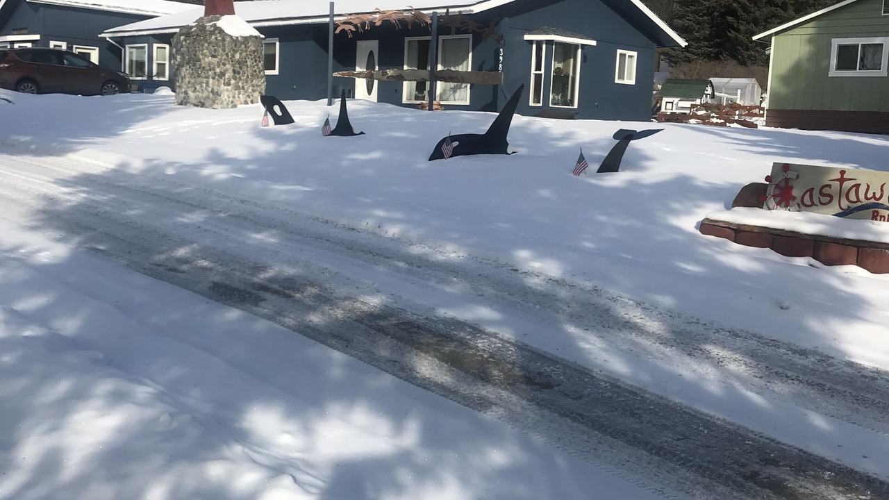 Photo of Outdoor in Homer