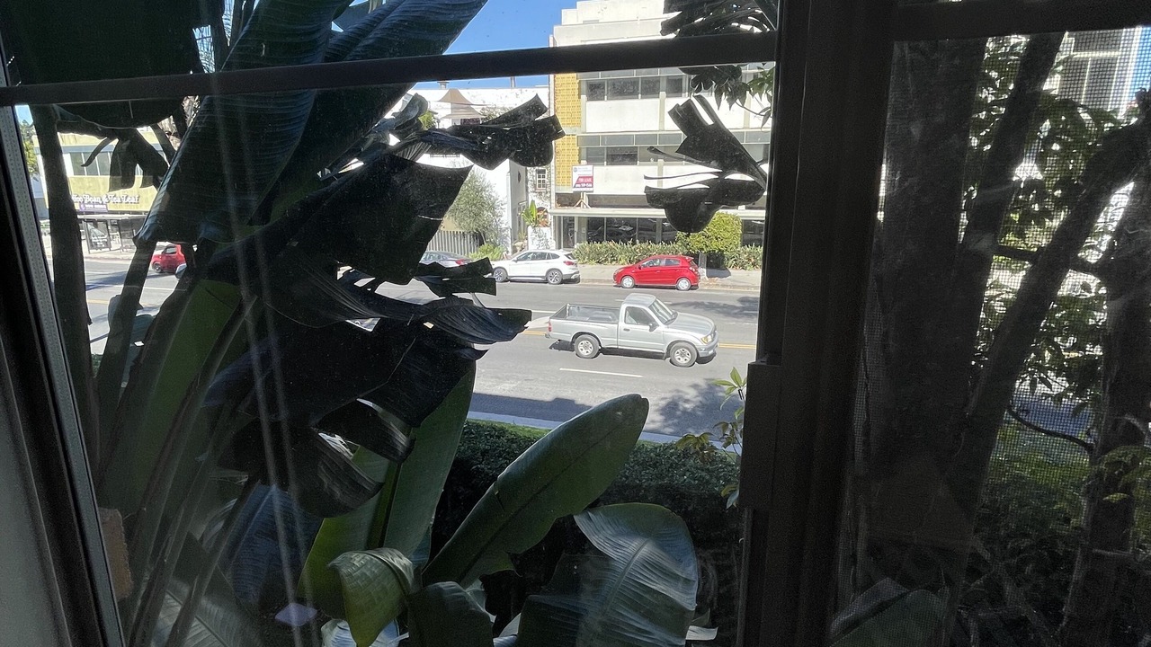 Photo of Outdoor in Ladera Heights