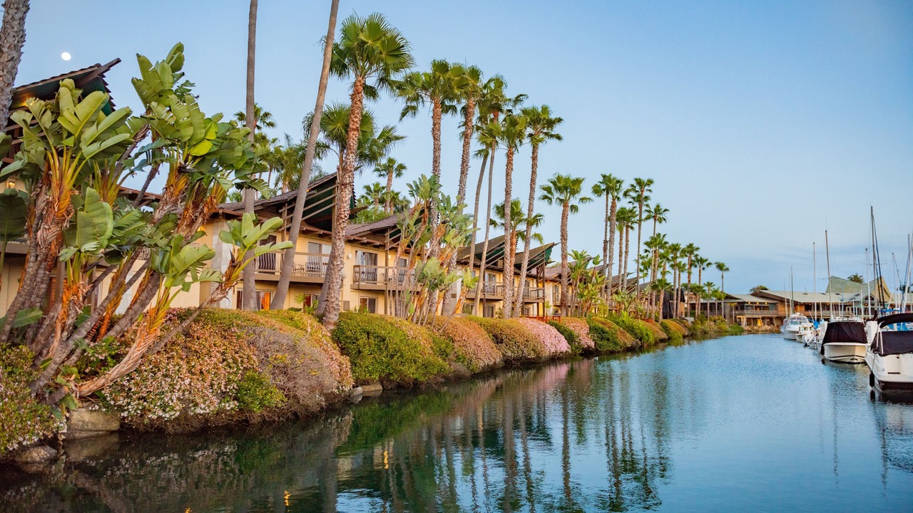 Photo of Outdoor in La Playa