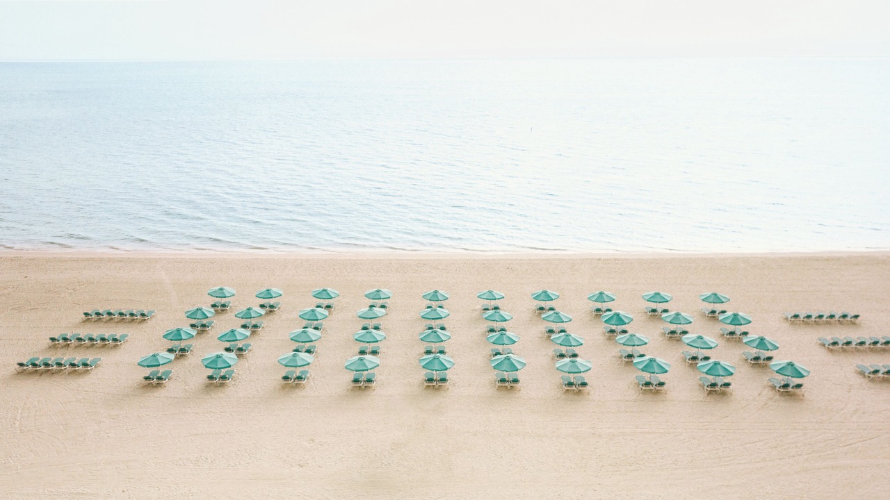Photo of Others in Sarasota
