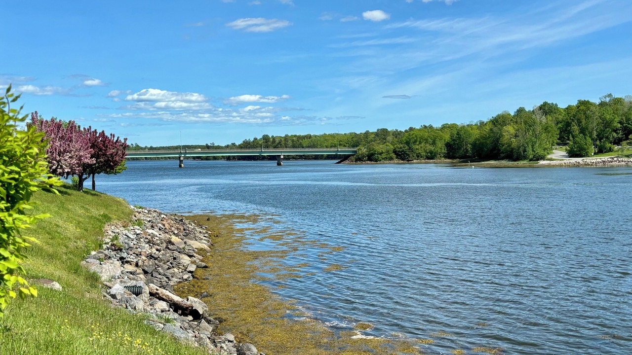 Photo of Others in Bucksport