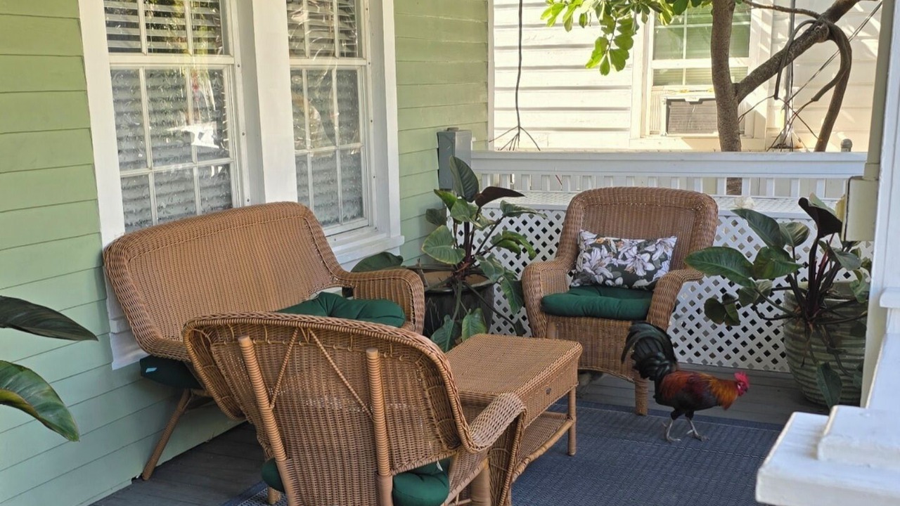 Photo of Outdoor in Historic Seaport