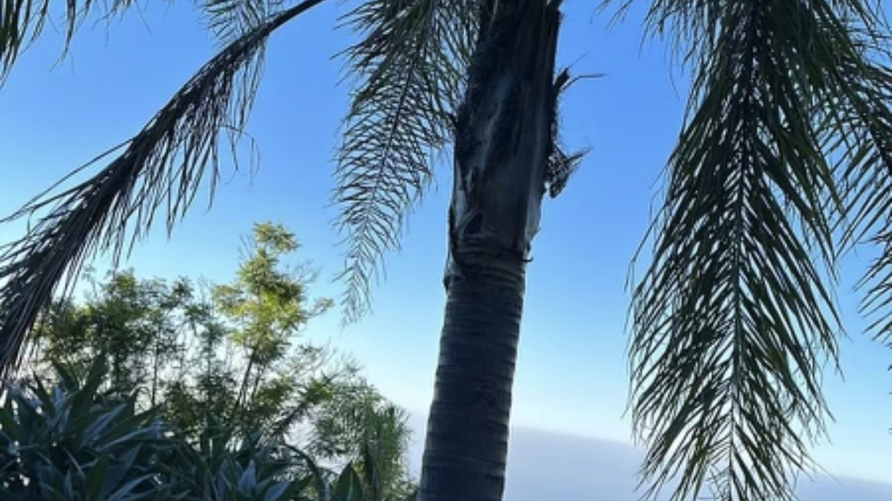 Photo of Outdoor in Malibu