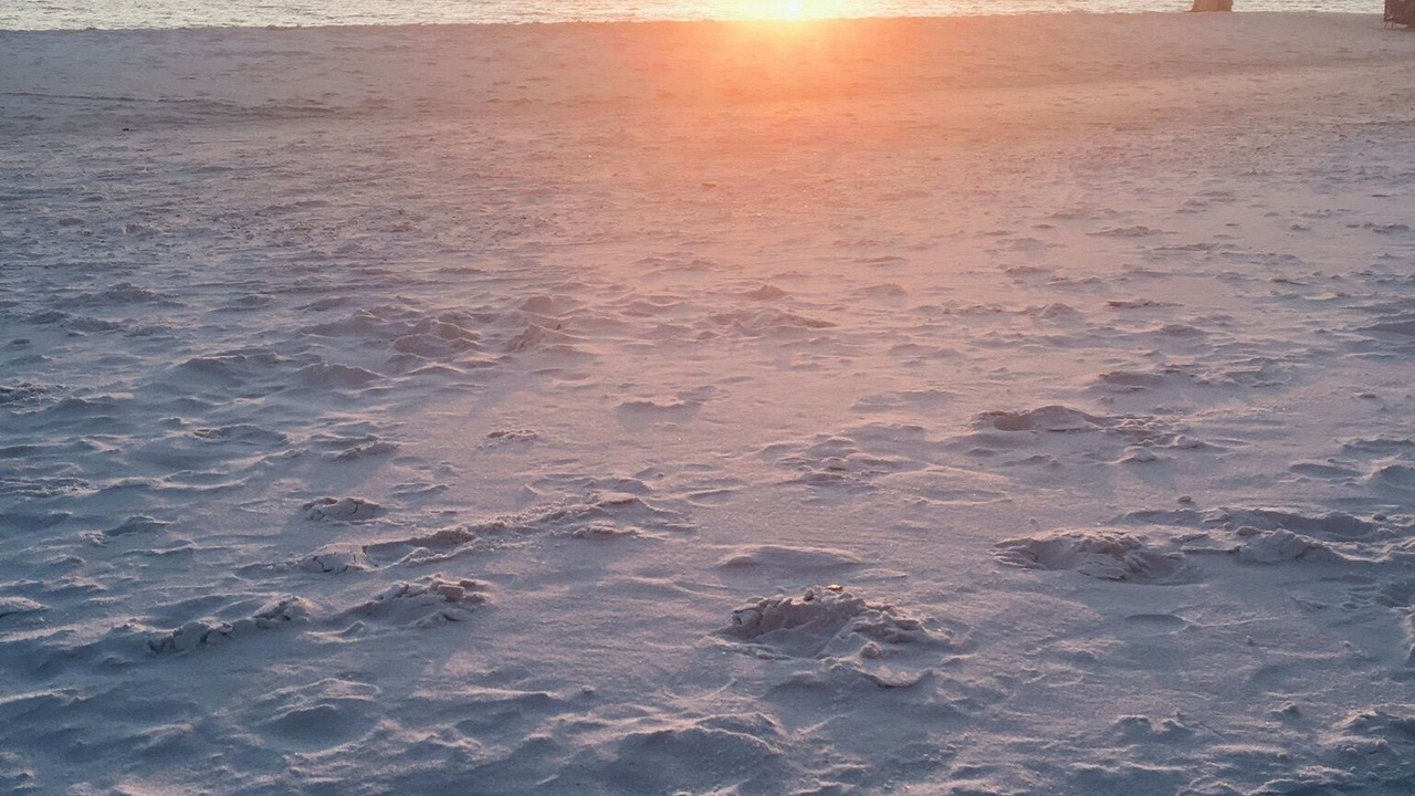 Photo of Others in Gulf Lagoon Beach