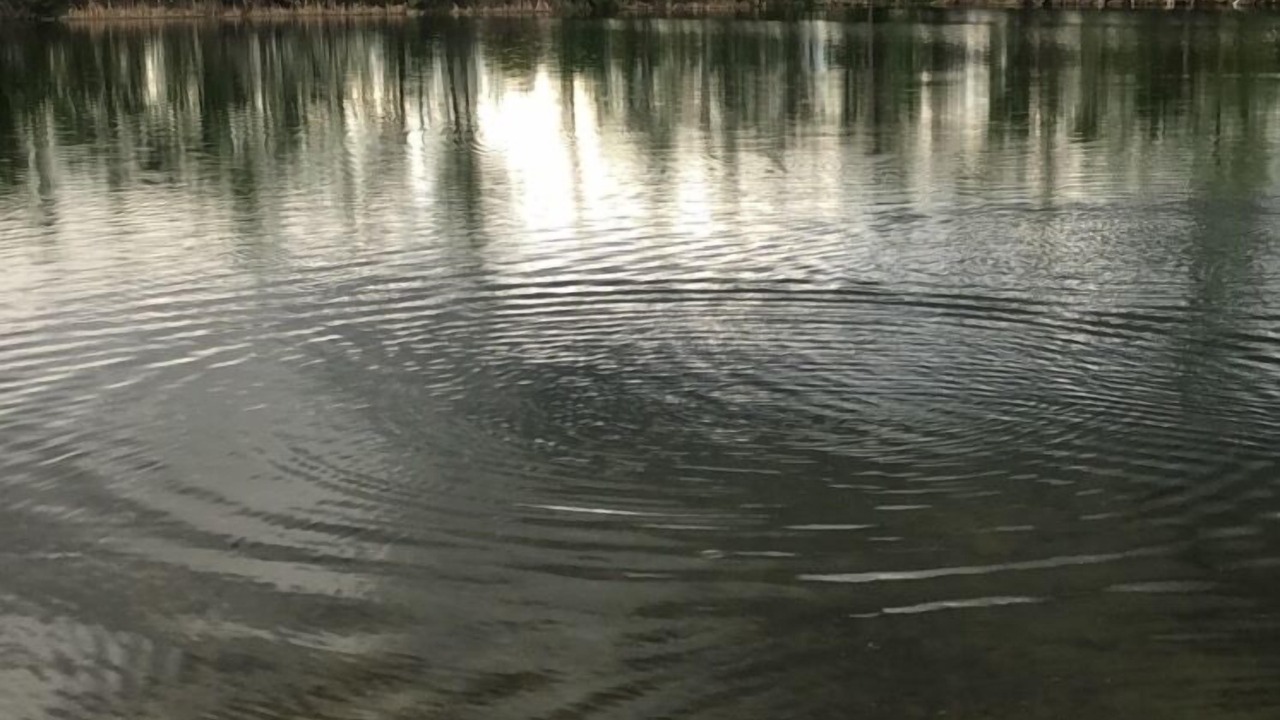Photo of Others in Caldwell