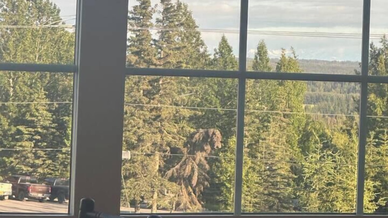 Photo of Others in Homer