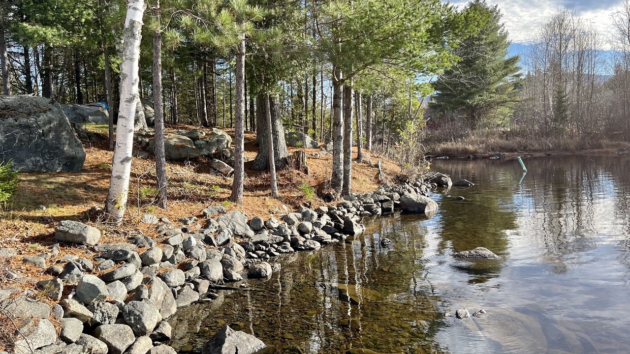 Photo of Others in Beaver Cove