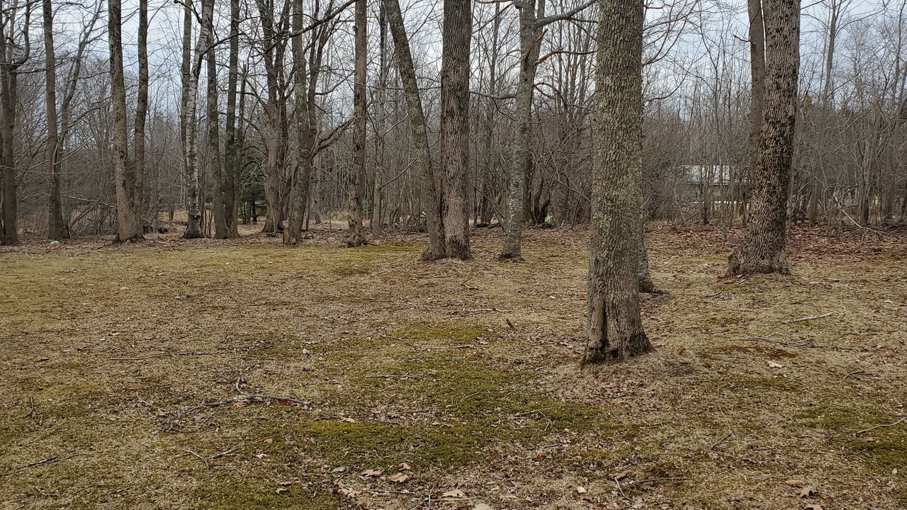 Photo of Others in Hancock