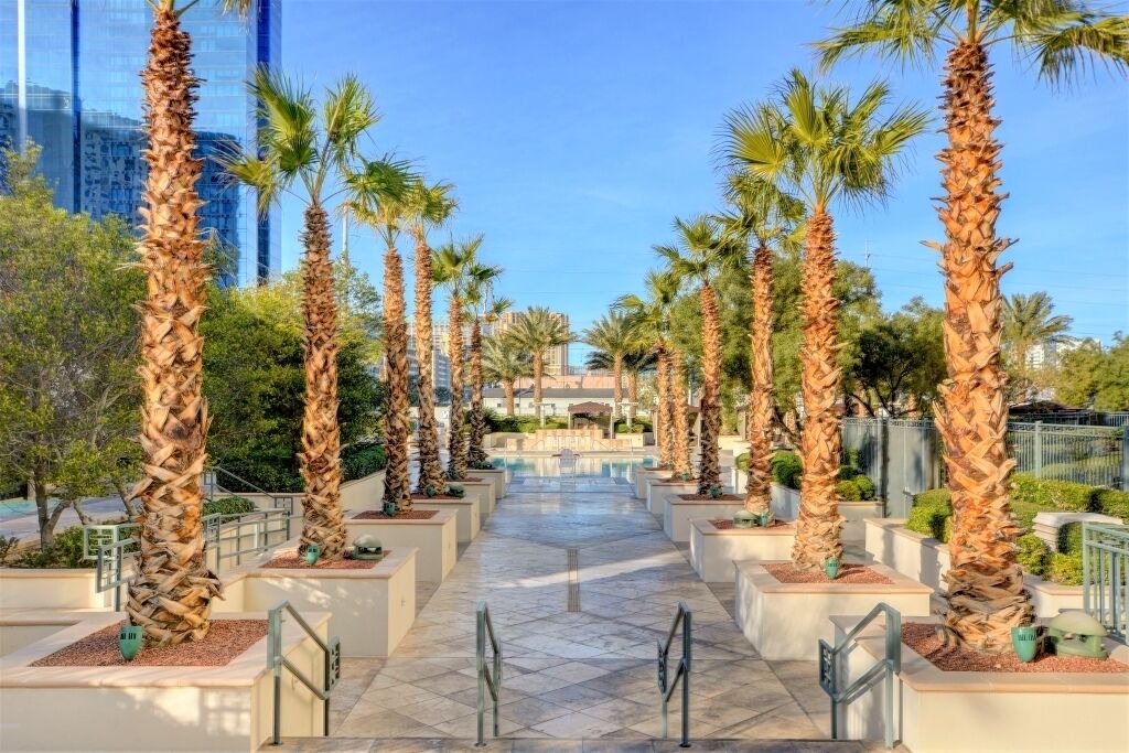 Photo of Others in Las Vegas