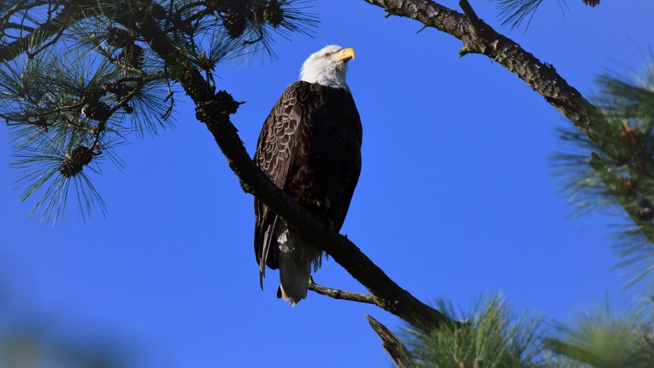 Photo of Others in Kents Hill