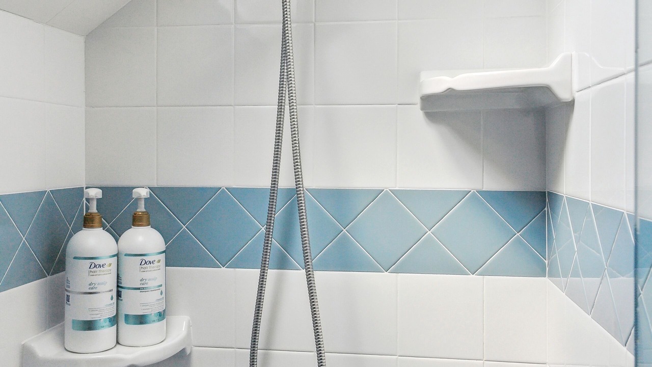 Photo of Bathroom in North Park