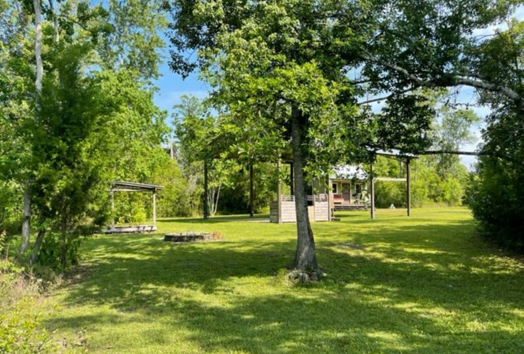 Photo of Outdoor in Clarksville
