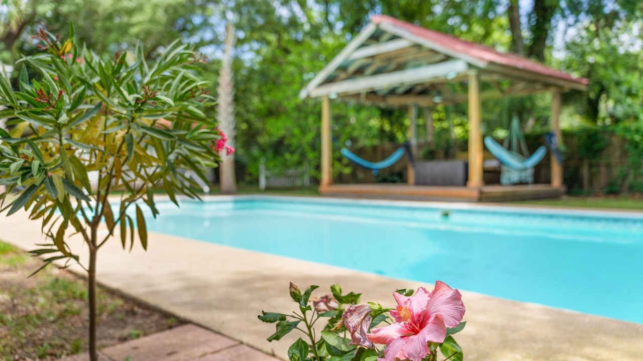 Photo of Outdoor in Northeast Pensacola