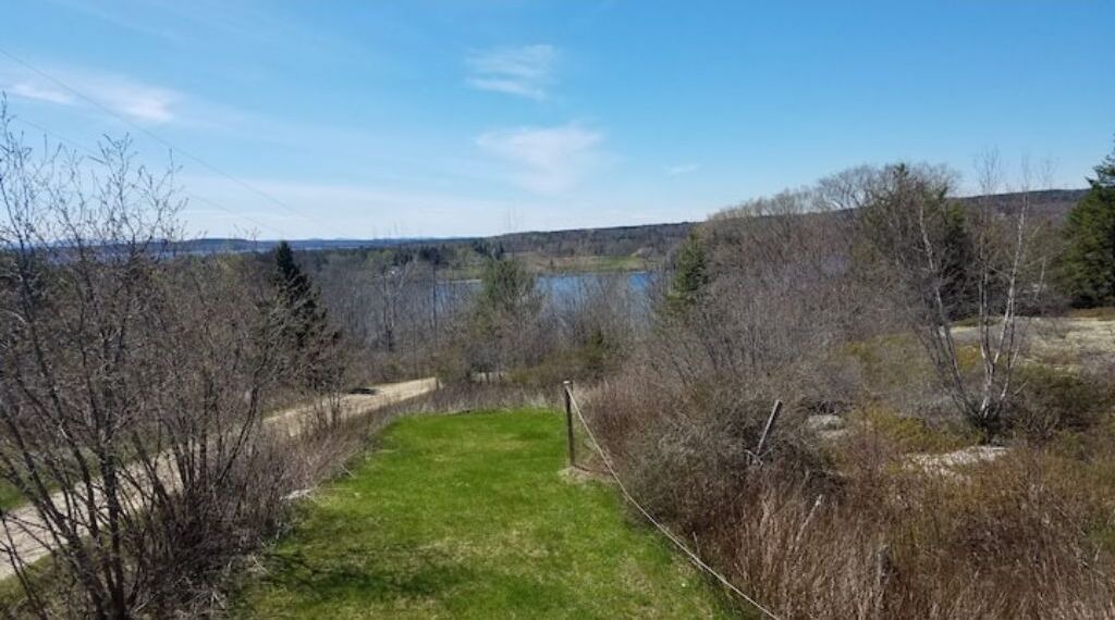 Photo of Outdoor in Brooklin