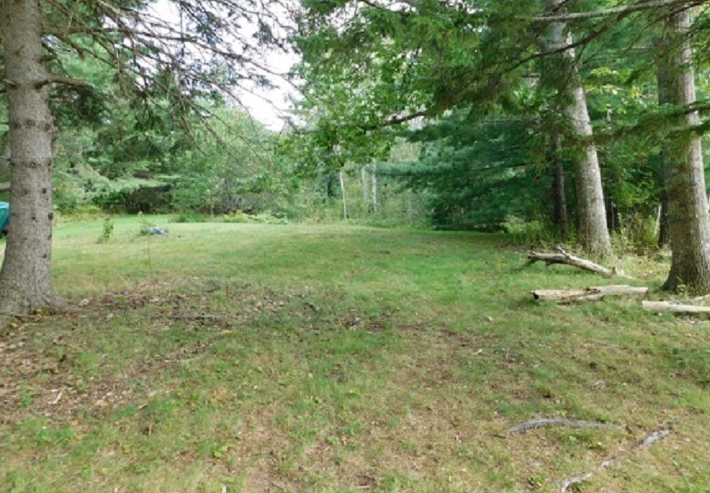 Photo of Others in Milbridge