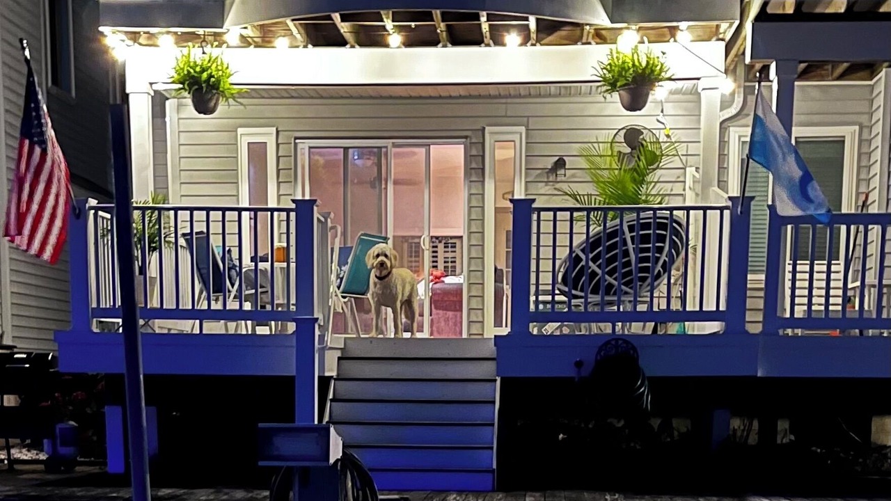 Photo of Patio Balcony in Caine Woods