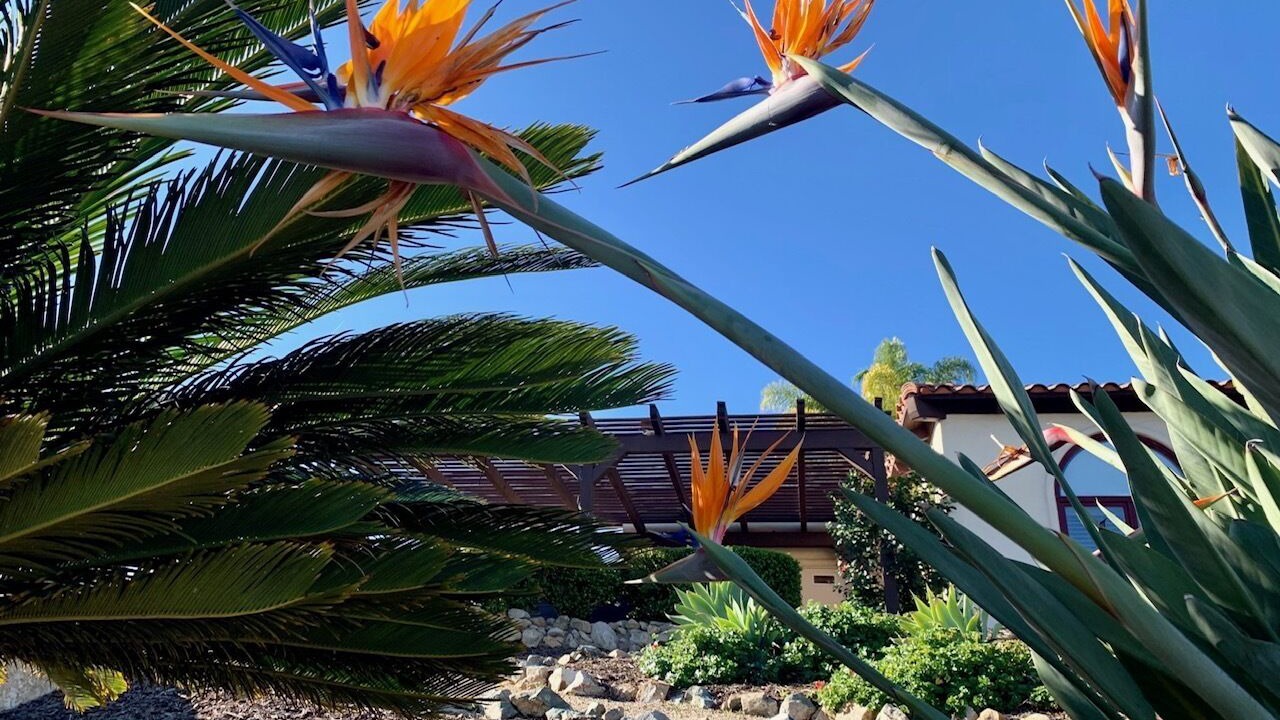 Photo of Outdoor in Escondido