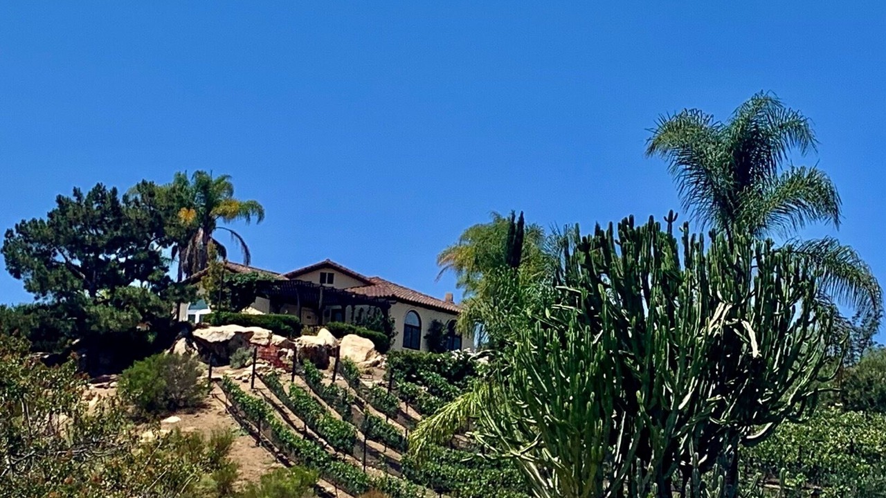 Photo of Outdoor in Escondido