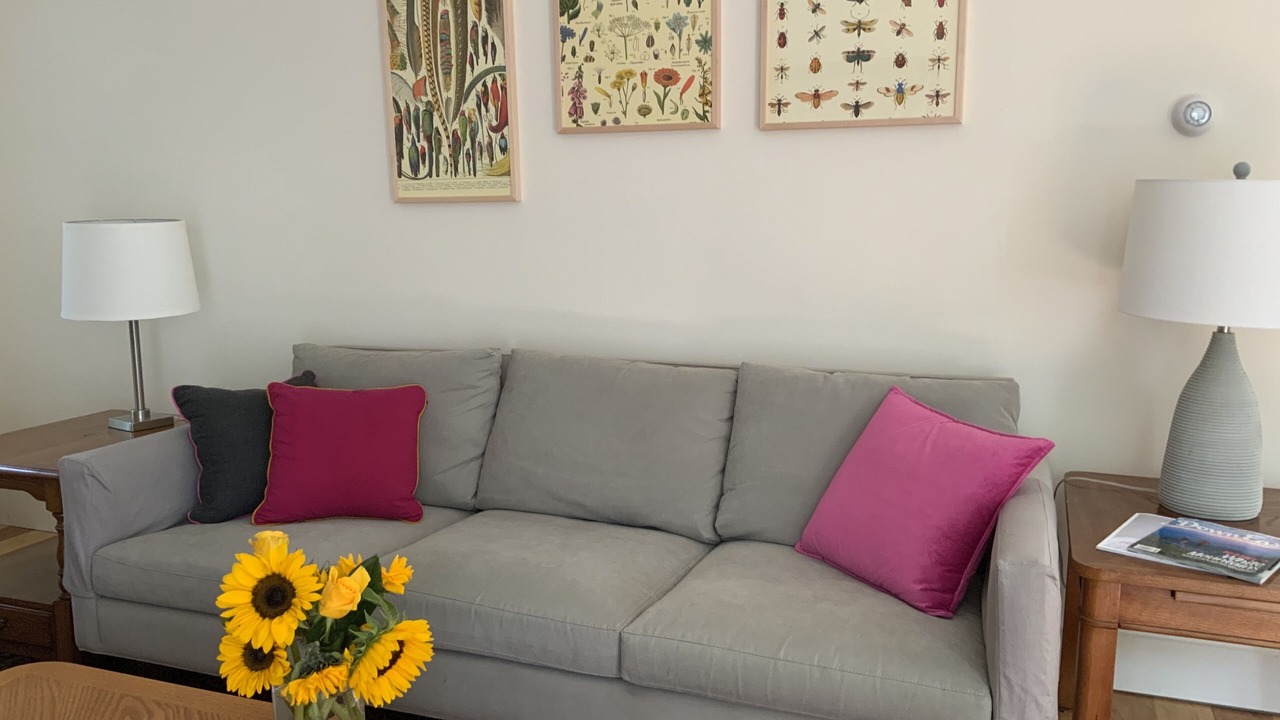 Photo of Livingroom in Lincolnville
