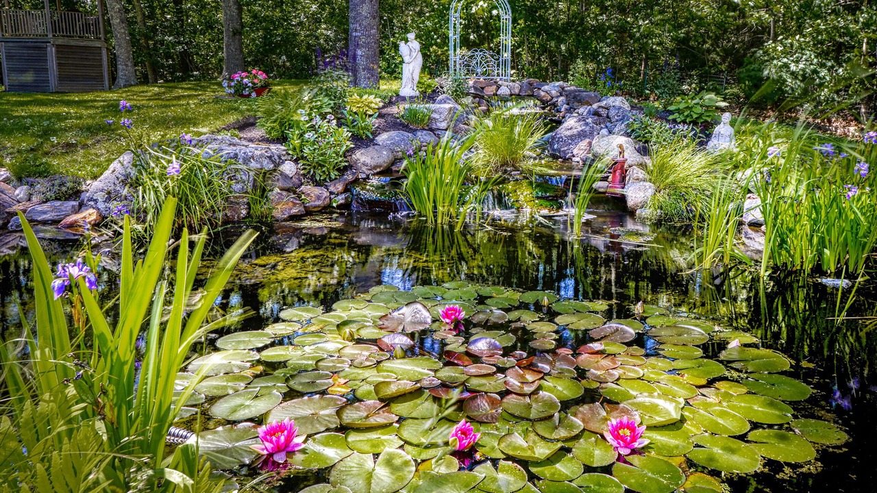 Photo of Outdoor in Orland