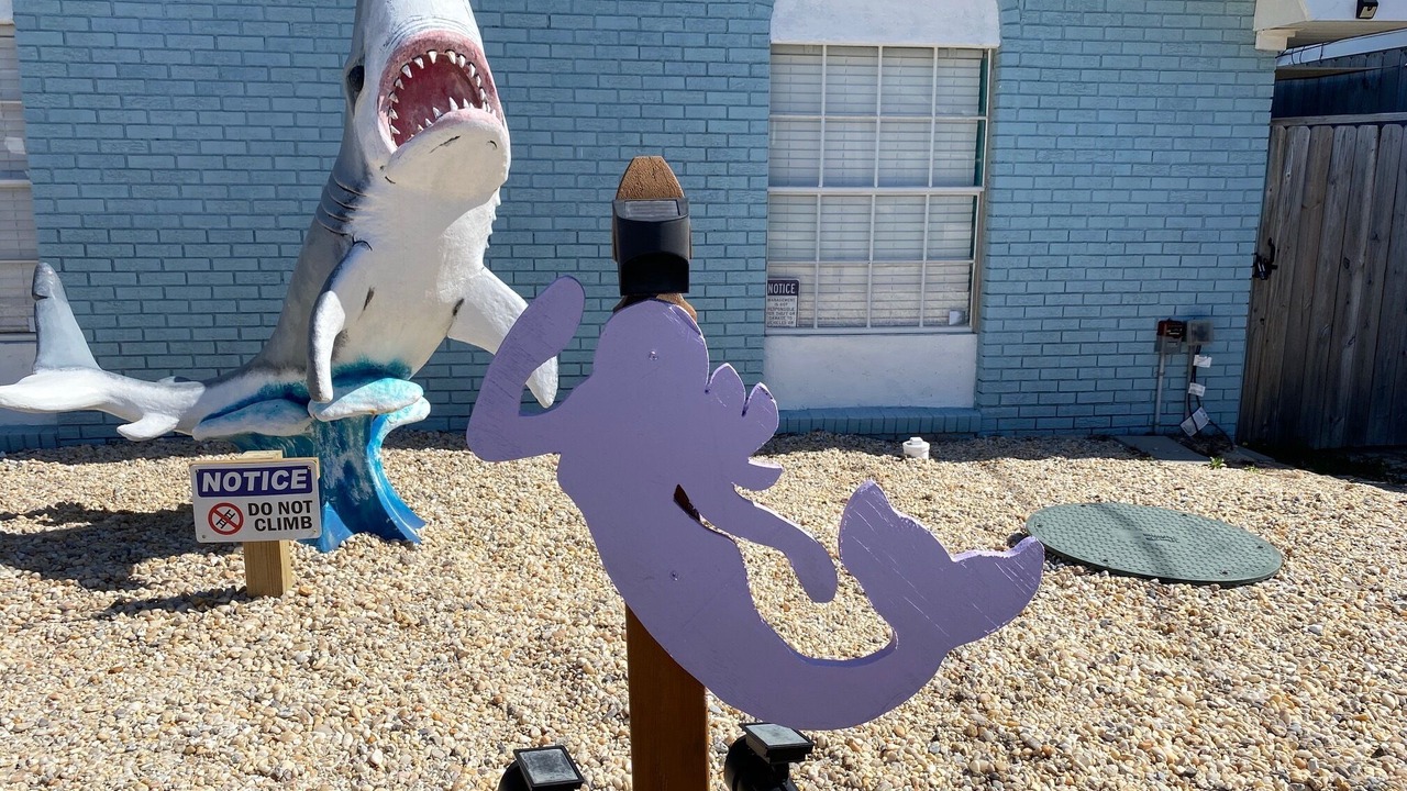 Photo of Outdoor in Gulf Lagoon Beach