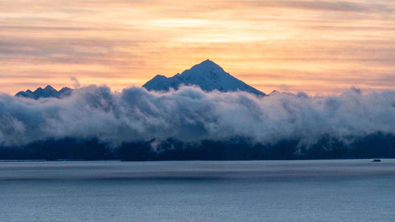 Photo of Others in Homer