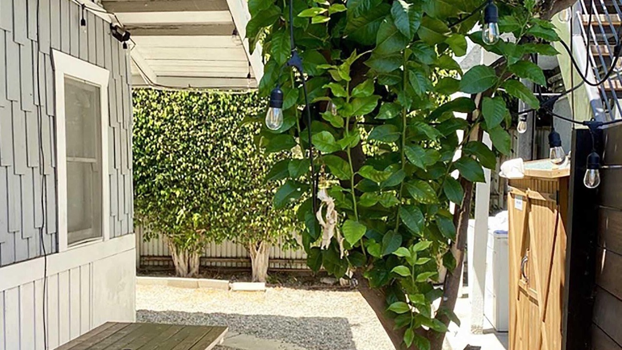 Photo of Outdoor in Hollywood