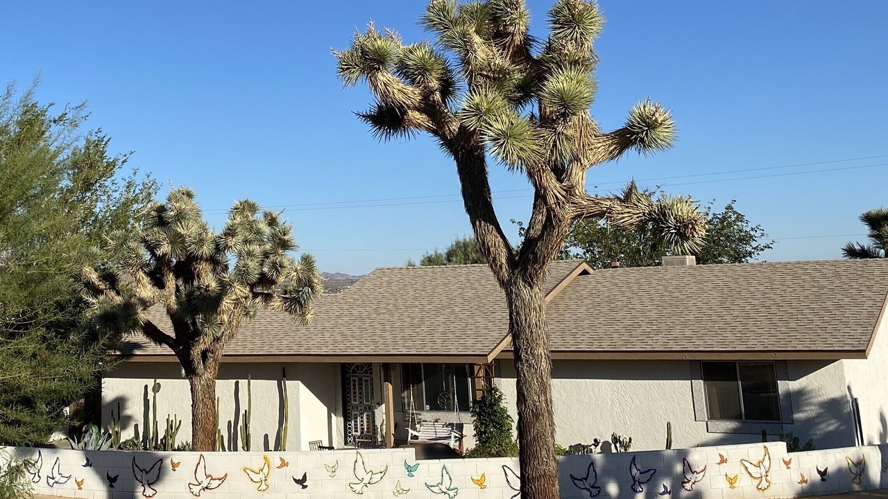 Photo of Outdoor in Joshua Tree