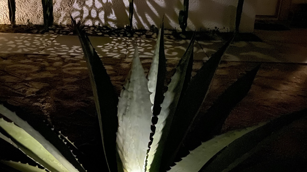 Photo of Outdoor in Joshua Tree