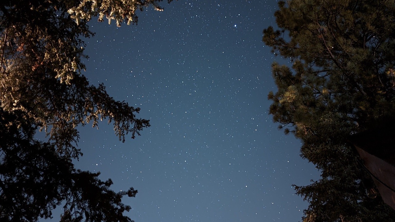 Photo of Others in Upper Moonridge