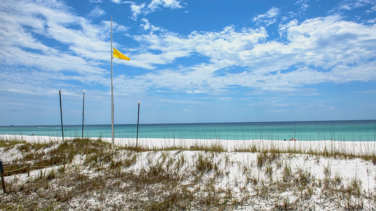 Photo of Others in Gulf Lagoon Beach