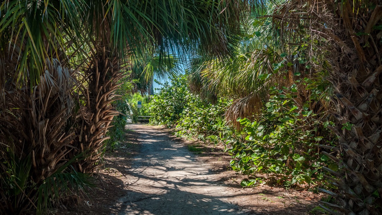 Photo of Others in Anna Maria