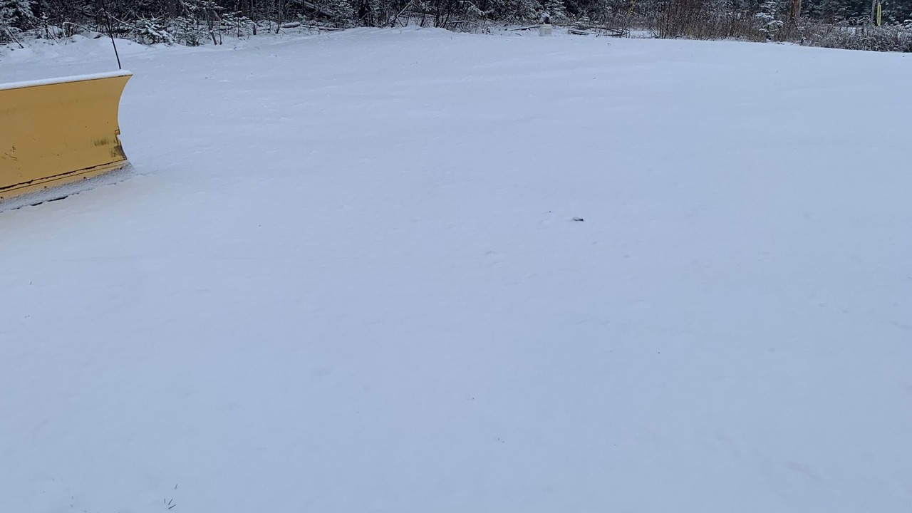 Photo of Others in Shirley