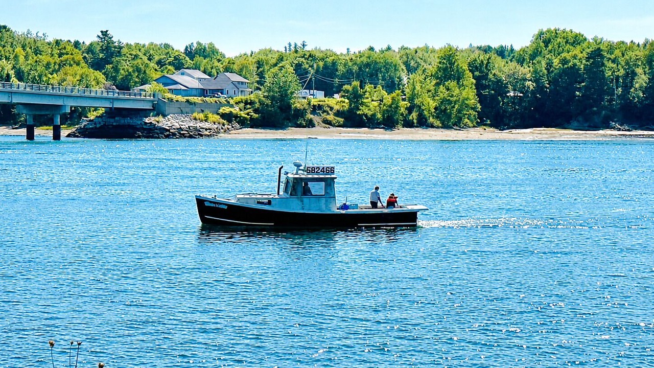 Photo of Others in Sullivan