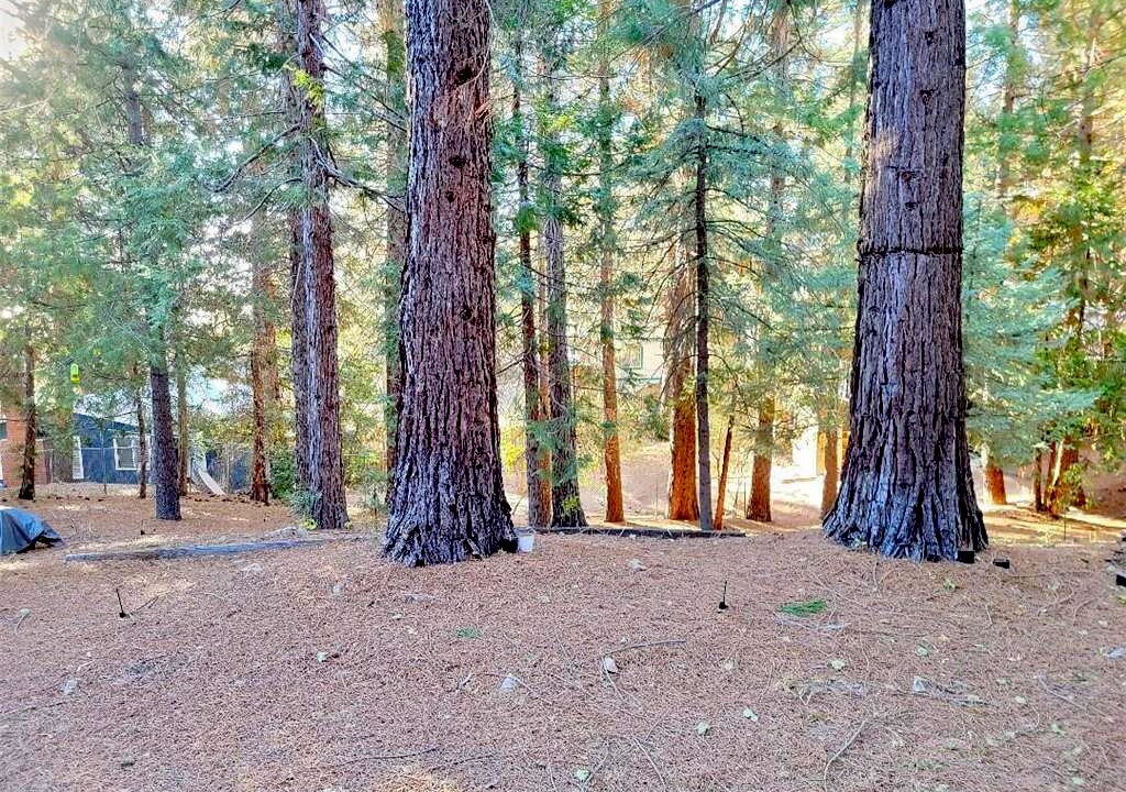 Photo of Outdoor in Running Springs