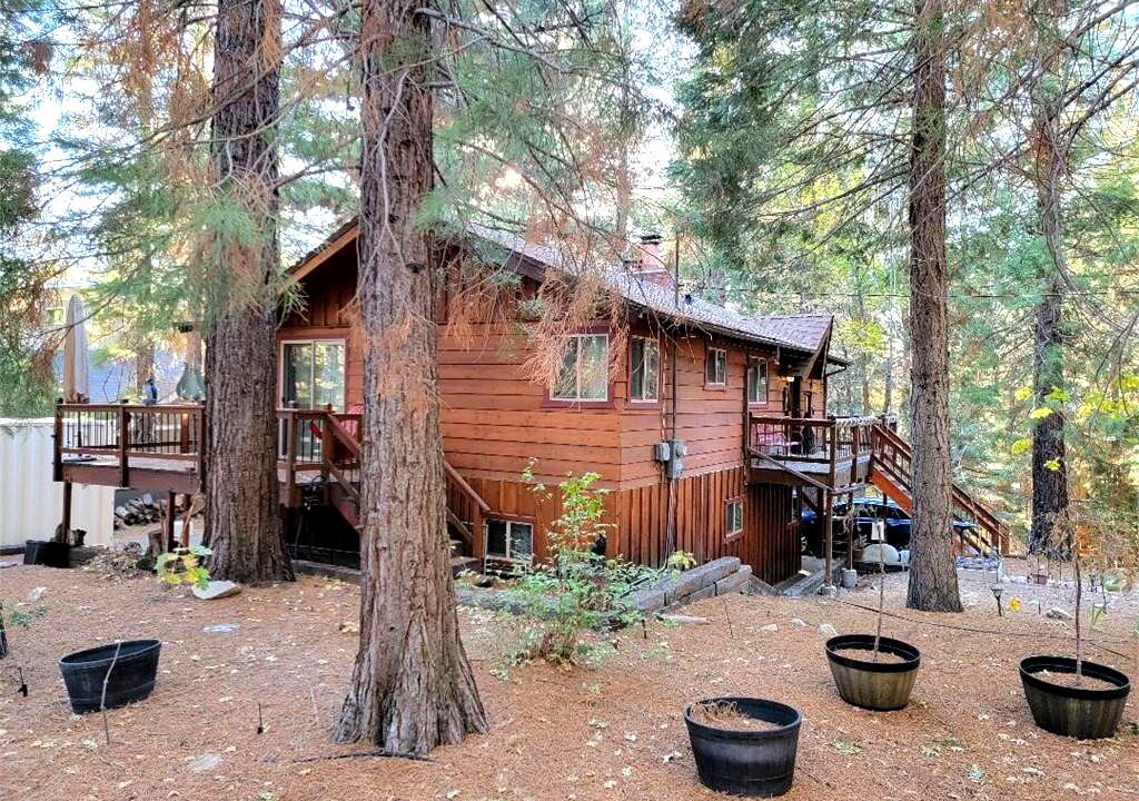 Photo of Outdoor in Running Springs
