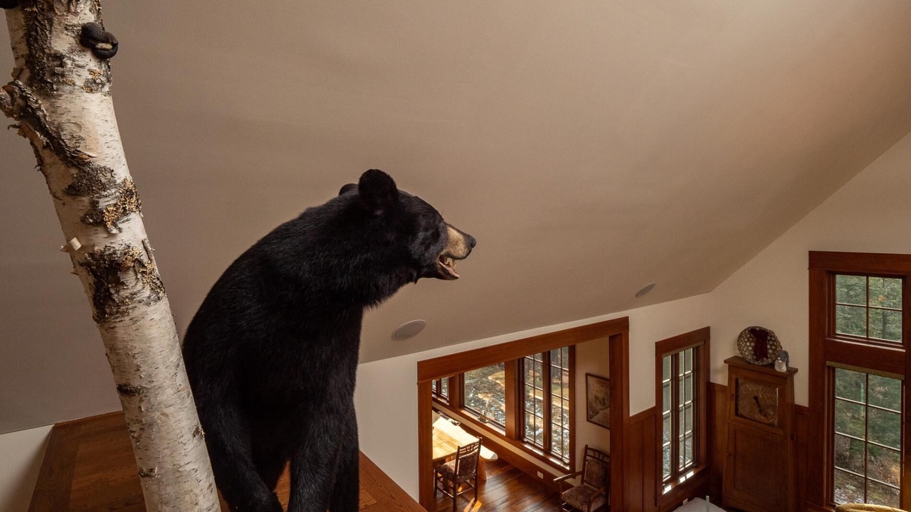 Photo of Others in Sunday River Area
