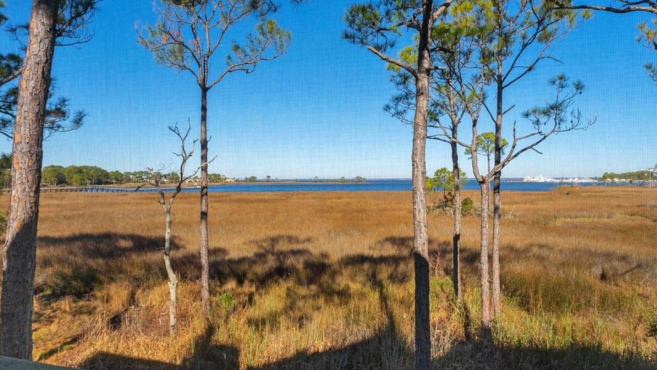 Photo of Outdoor in Sandestin