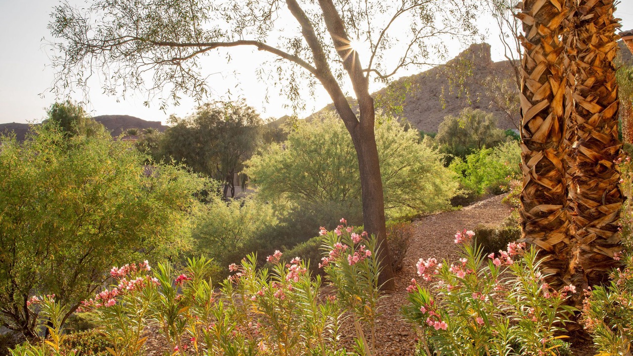 Photo of Outdoor in Lake Las Vegas