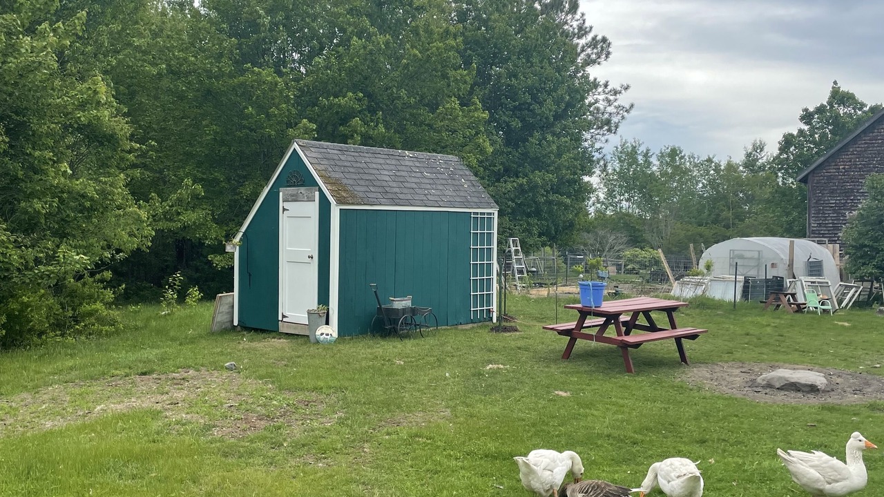 Photo of Outdoor in Milbridge