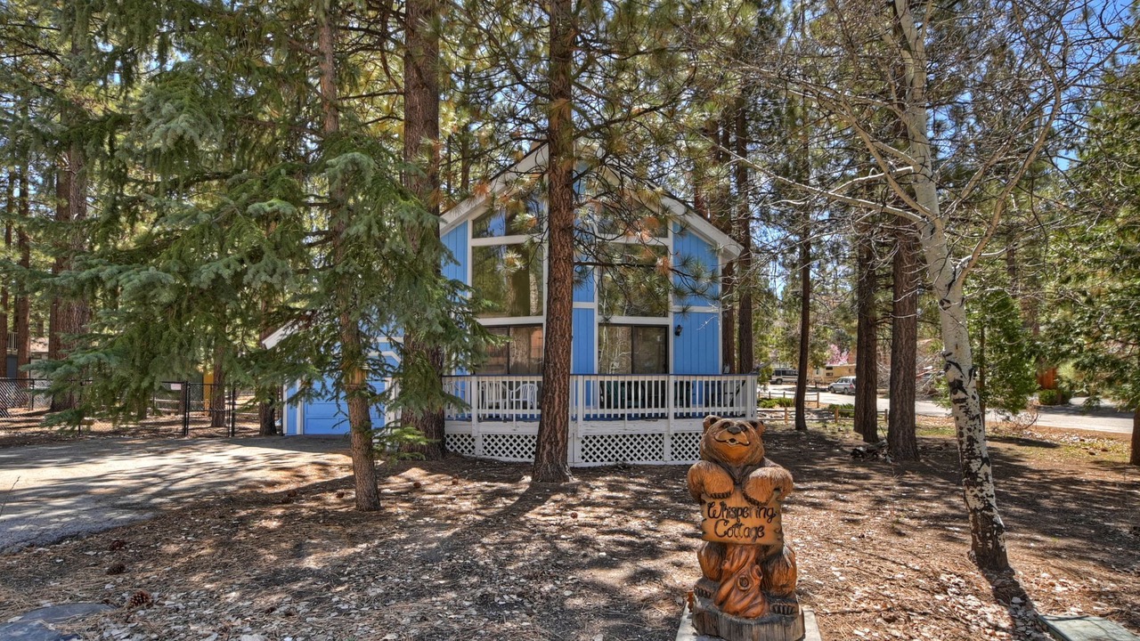 Photo of Others in Big Bear Lake