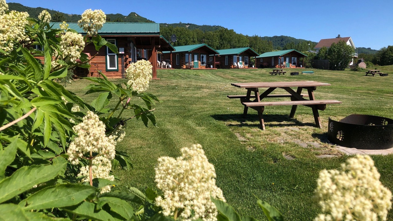 Photo of Others in Kachemak