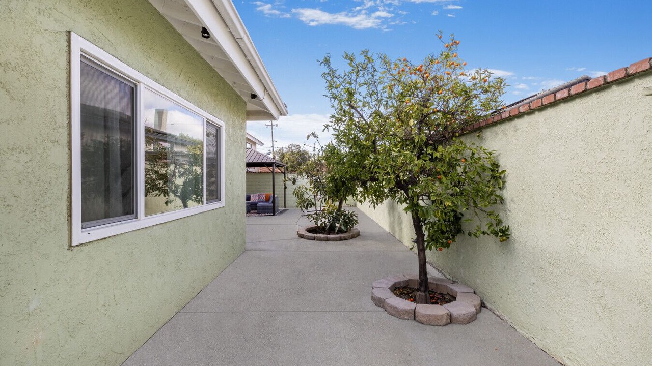 Photo of Outdoor in Orange