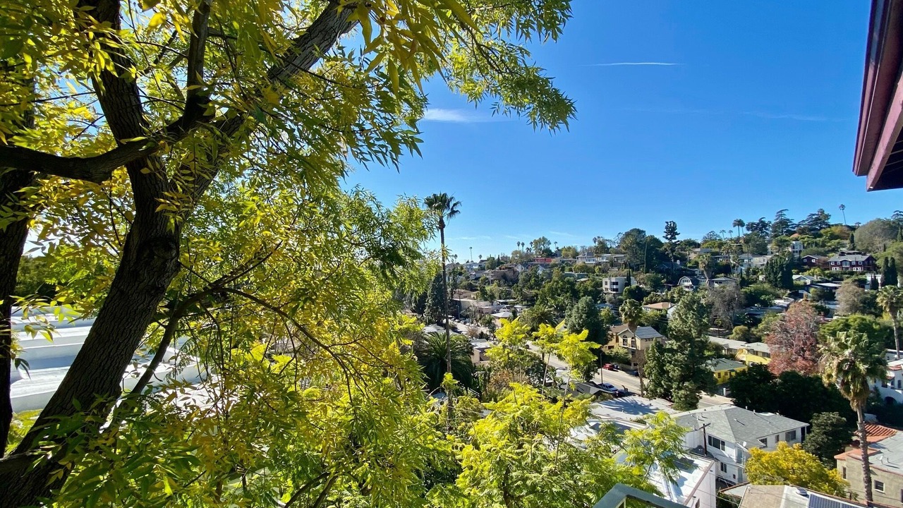 Photo of Outdoor in Silver Lake
