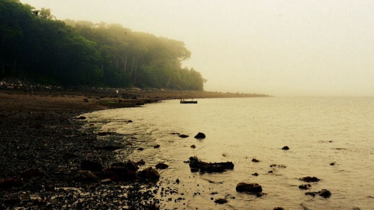 Photo of Others in Northport
