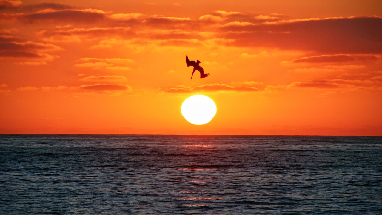 Photo of Others in Imperial Beach