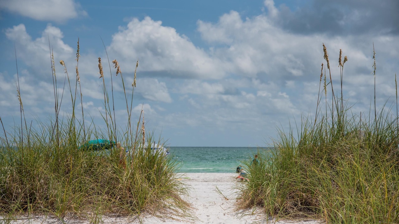 Photo of Others in Anna Maria