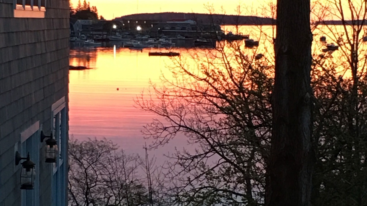 Photo of Others in Southwest Harbor