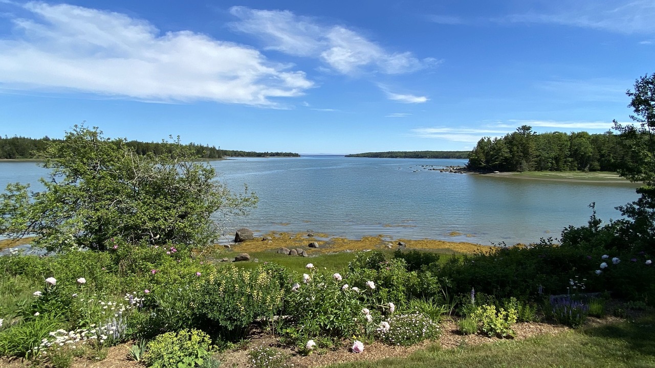 Photo of Outdoor in Brooklin